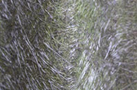 Upper Brockholes fibreglass roof work